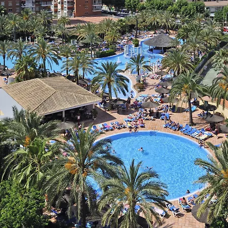 ソル ペリカノス オーカス